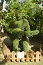 Guitarist Recreated In A Fern Sculpture.