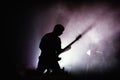 Guitarist at rock concert Royalty Free Stock Photo