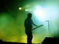 Guitarist On Stage Royalty Free Stock Photo