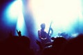 a guitarist on stage surrounded by adoring fans. This concert was created for the sole purpose of this photo shoot Royalty Free Stock Photo