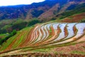 Guizhou Longji terrace