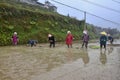 GUIZHOU PROVINCE, CHINA Ã¢â¬â CIRCA APRIL 2019:  Woman put the young rice plants into the flooded paddy. Royalty Free Stock Photo