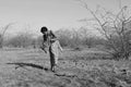 Gujarat: Indian girl chopping down wood in rural desert area