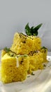 Gujarati Farsan Khaman dhokla/Vati dal Khaman