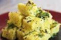 Gujarati Khaman Dhokla or Steamed Gram Flour Snack - Indian Cuisine Royalty Free Stock Photo