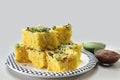 Gujarati Farsan Khaman dhokla/Vati dal Khaman