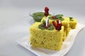 Gujarati Farsan Khaman dhokla/Vati dal Khaman