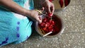 The gujarati lady slicing red chilli for pickle in stainless steel ball Lokgram Kalyan