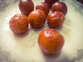 Gulab Jamun balls with sugar syrup placed in a white plate.