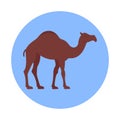 Gulf camel Isolated Vector icon that can be easily modified or edited Royalty Free Stock Photo