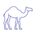 Gulf camel Isolated Vector icon that can be easily modified or edited Royalty Free Stock Photo