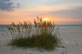 Gulf Coast at Dusk