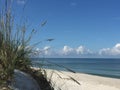 Gulf Coast Florida Beach Scene