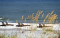 Gulf Coast Scene Royalty Free Stock Photo