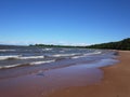 Gulf of Finland coast. Pine forest and beach on the North sea coast. Royalty Free Stock Photo