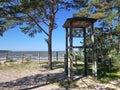 Gulf of Finland coast. Pine forest and beach on the North sea coast. Royalty Free Stock Photo