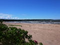 Gulf of Finland coast. Pine forest and beach on the North sea coast. Royalty Free Stock Photo