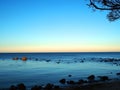 Gulf of Finland coast in winter. Royalty Free Stock Photo