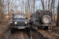 Jeep Wrangler and land Rover defender on a forest road Royalty Free Stock Photo