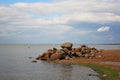 Gulf of Finland, the St. Petersburg resort. stones on a promontory on the beach in the resort area. Royalty Free Stock Photo