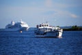 From the Gulf of Finland to the Neva Bay came a huge sea tourist liner.