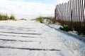 Boardwalk covered in sand with beach grasses and fence Royalty Free Stock Photo