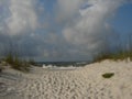 Gulf Shores Sandy Beach