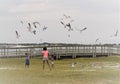 Gulfport, Florida, April 2018 African American kids are feeding and playing with seagulls