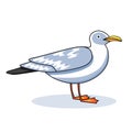 Gull flight bird and seabird gull. ÃÂ¡artoon looking gull. Sea gull, on white background. Herring Gull for your journal Royalty Free Stock Photo