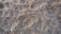 Gull footprints in the sand of a beach