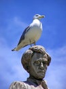 Gull on a head of statue Royalty Free Stock Photo