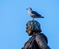 A gull on the head of the statue