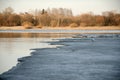 Gull on the ice of the river that thaws Royalty Free Stock Photo