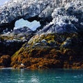 Gull Island (Kachemak Bay, Alaska) Royalty Free Stock Photo
