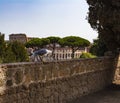 Gull on the outlook with Colosseum. Seagull watching Rome with Colosseum. Bird in the Roman Forum, the historic city center, Roma,