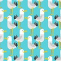 Gull pattern seamless. seagull background. Sea bird texture