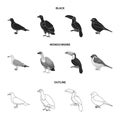 Gull, toucan and other species. Birds set collection icons in black,monochrome,outline style vector symbol stock