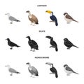 Gull, toucan and other species. Birds set collection icons in cartoon,black,monochrome style vector symbol stock