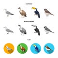 Gull, toucan and other species. Birds set collection icons in cartoon,flat,monochrome style vector symbol stock