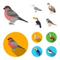 Gull, toucan and other species. Birds set collection icons in cartoon,flat style vector symbol stock illustration web.