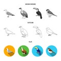 Gull, toucan and other species. Birds set collection icons in flat,outline,monochrome style vector symbol stock