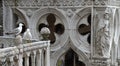 Gulls on the background of the architectural details Royalty Free Stock Photo