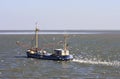 Gulls behind dutch shrimper at Wadden Sea, Ameland