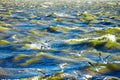 Gulls cormorants fly over raging blue sea, storm background