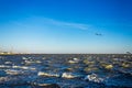 Gulls cormorants fly over raging blue sea, storm background