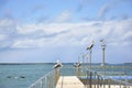 Gulls and cormorants sitting on a pier near the sea Royalty Free Stock Photo