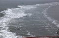 Gulls flying over dutch Waddenzee near Ameland Island Royalty Free Stock Photo