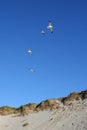 Gulls flying over a sandhill Royalty Free Stock Photo