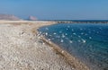 Gulls flying from stone beach of Altea with view on rock of Calpe, Costa Blanca, Spain Royalty Free Stock Photo