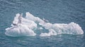 Gulls perched on iceberg in arctic greenland - arctic blue and crystal clear Royalty Free Stock Photo